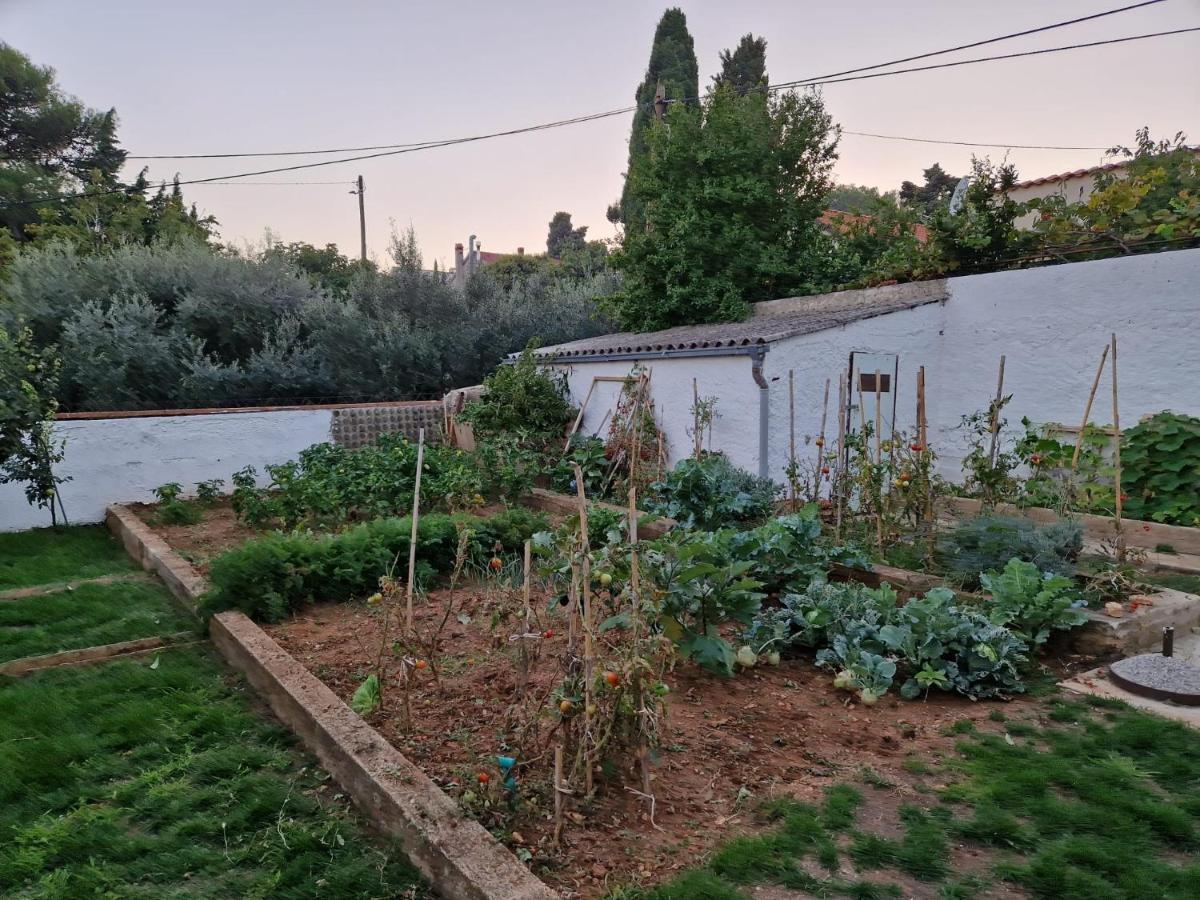 Zefir Apartments Premantura Εξωτερικό φωτογραφία