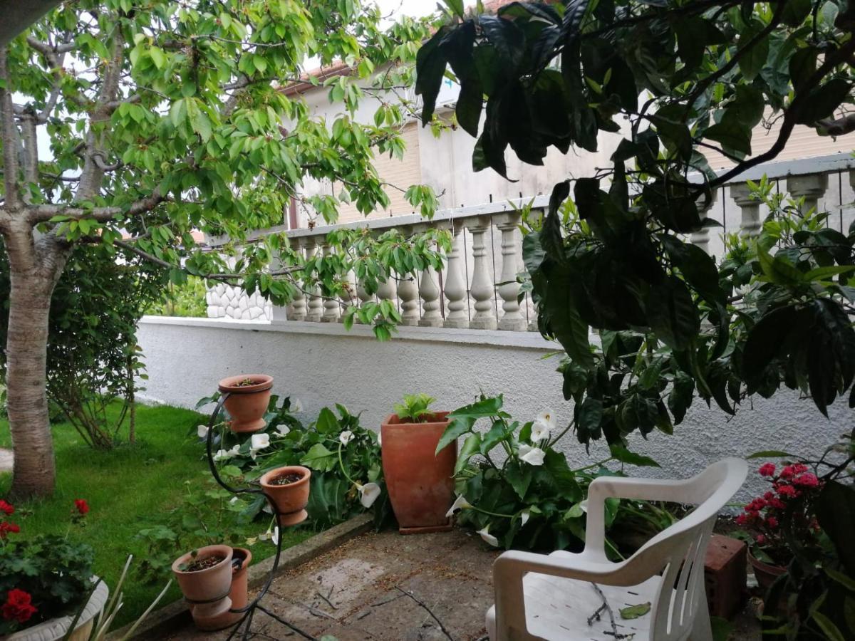 Zefir Apartments Premantura Εξωτερικό φωτογραφία